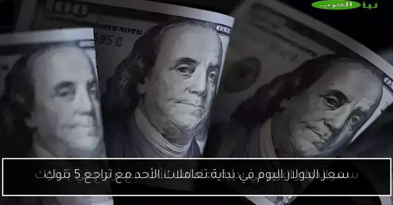 سعر الدولار اليوم في بداية تعاملات الأحد مع تراجع 5 بنوك
