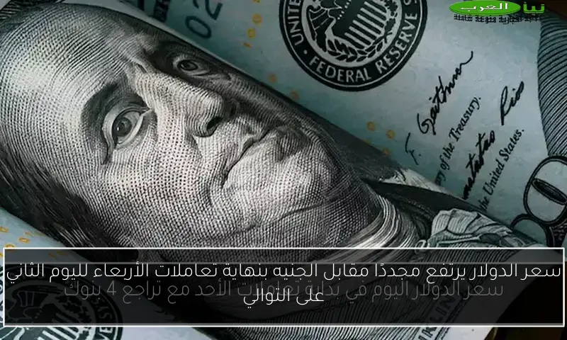 سعر الدولار يرتفع مجددًا مقابل الجنيه بنهاية تعاملات الأربعاء لليوم الثاني على التوالي