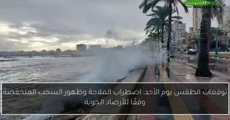 توقعات الطقس يوم الأحد: اضطراب الملاحة وظهور السحب المنخفضة وفقًا للأرصاد الجوية