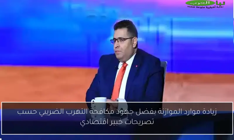 زيادة موارد الموازنة بفضل جهود مكافحة التهرب الضريبي حسب تصريحات خبير اقتصادي