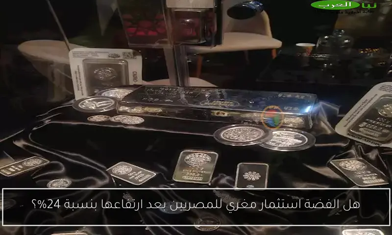 هل الفضة استثمار مغري للمصريين بعد ارتفاعها بنسبة 24%؟
