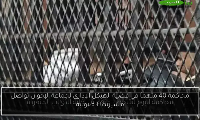 محاكمة 40 متهماً في قضية الهيكل الإداري لجماعة الإخوان تواصل مسيرتها القانونية