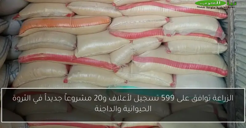 الزراعة توافق على 599 تسجيل لأعلاف و20 مشروعاً جديداً في الثروة الحيوانية والداجنة