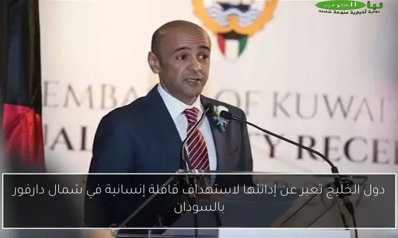 دول الخليج تعبر عن إدانتها لاستهداف قافلة إنسانية في شمال دارفور بالسودان