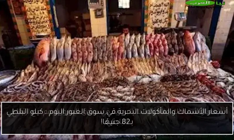 أسعار الأسماك والمأكولات البحرية في سوق العبور اليوم.. كيلو البلطي بـ82 جنيهًا!