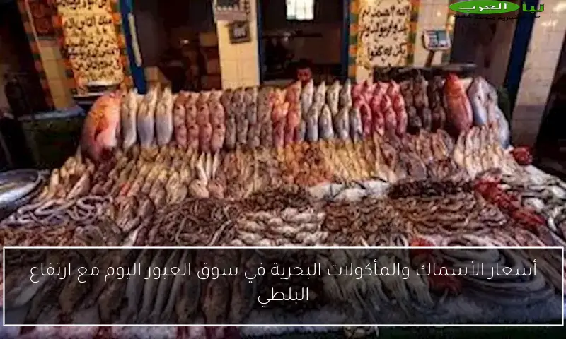 أسعار الأسماك والمأكولات البحرية في سوق العبور اليوم مع ارتفاع البلطي