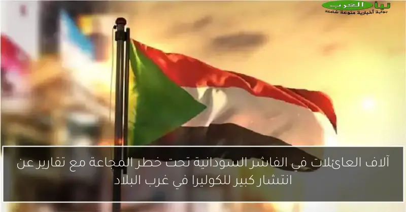 آلاف العائلات في الفاشر السودانية تحت خطر المجاعة مع تقارير عن انتشار كبير للكوليرا في غرب البلاد