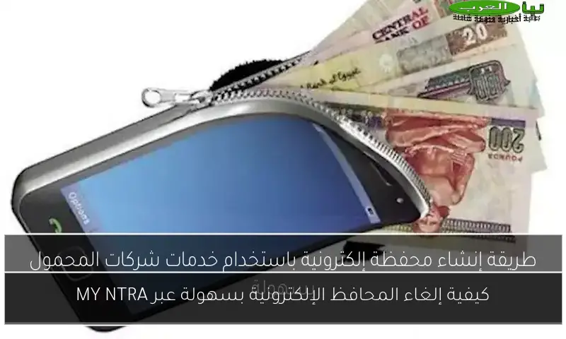 كيفية إلغاء المحافظ الإلكترونية بسهولة عبر MY NTRA