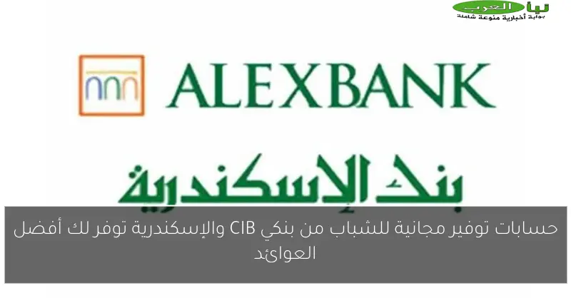 حسابات توفير مجانية للشباب من بنكي CIB والإسكندرية توفر لك أفضل العوائد
