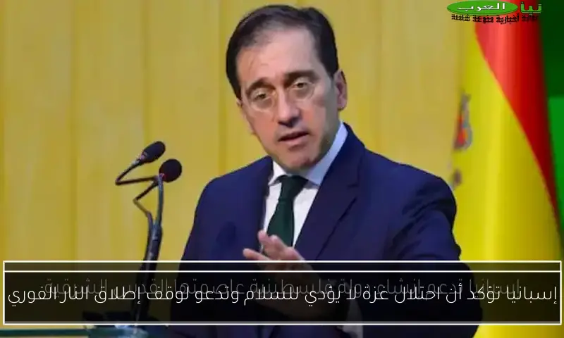 إسبانيا تؤكد أن احتلال غزة لا يؤدي للسلام وتدعو لوقف إطلاق النار الفوري