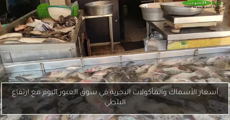 أسعار الأسماك والمأكولات البحرية في سوق العبور اليوم مع ارتفاع البلطي