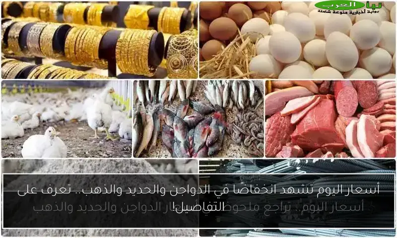 أسعار اليوم تشهد انخفاضًا في الدواجن والحديد والذهب.. تعرف على التفاصيل!