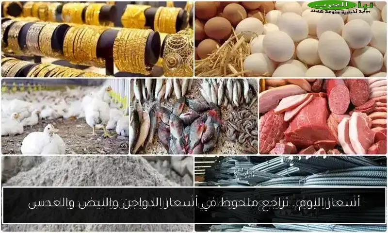 أسعار اليوم.. تراجع ملحوظ في أسعار الدواجن والبيض والعدس