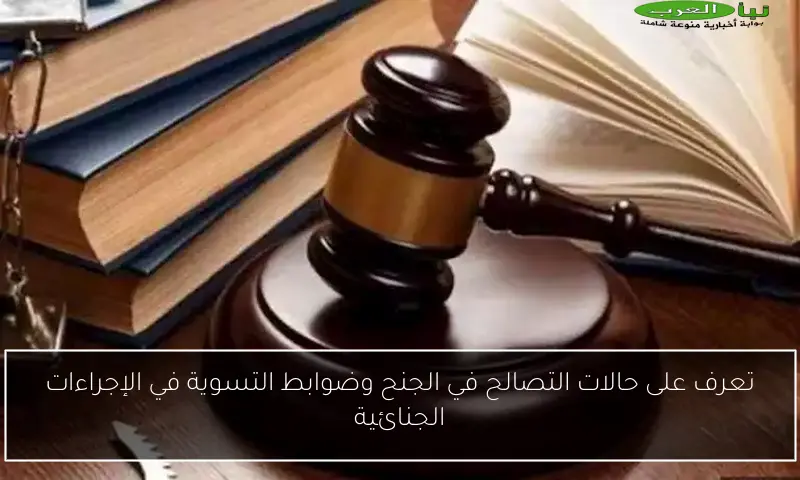 تعرف على حالات التصالح في الجنح وضوابط التسوية في الإجراءات الجنائية