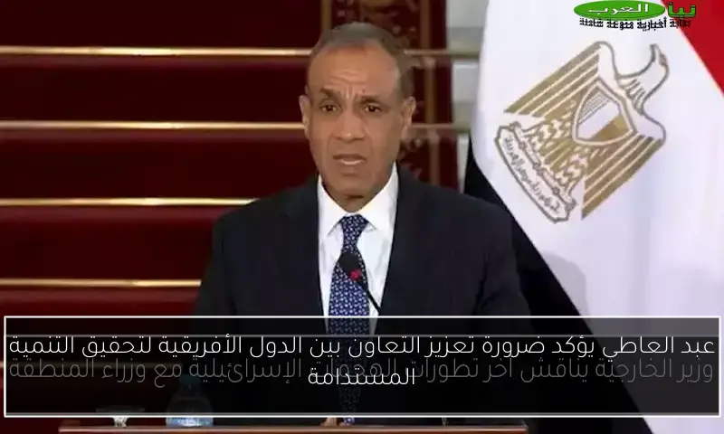 عبد العاطي يؤكد ضرورة تعزيز التعاون بين الدول الأفريقية لتحقيق التنمية المستدامة
