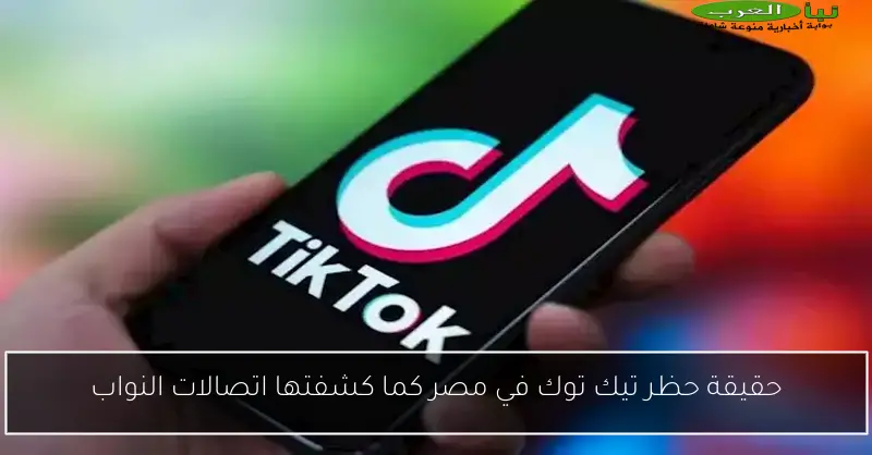 حقيقة حظر تيك توك في مصر كما كشفتها اتصالات النواب