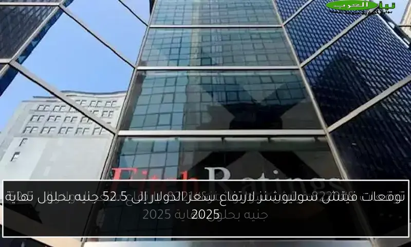 توقعات فيتش سوليوشنز لارتفاع سعر الدولار إلى 52.5 جنيه بحلول نهاية 2025