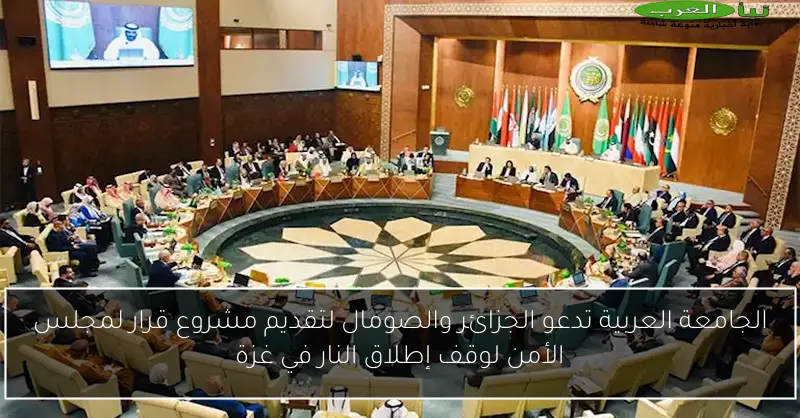الجامعة العربية تدعو الجزائر والصومال لتقديم مشروع قرار لمجلس الأمن لوقف إطلاق النار في غزة