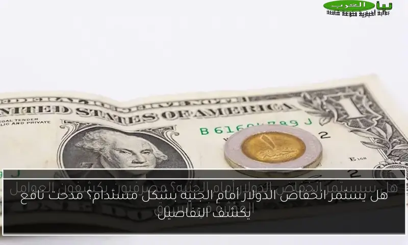 هل يستمر انخفاض الدولار أمام الجنيه بشكل مستدام؟ مدحت نافع يكشف التفاصيل