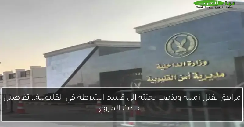 مراهق يقتل زميله ويذهب بجثته إلى قسم الشرطة في القليوبية.. تفاصيل الحادث المروع