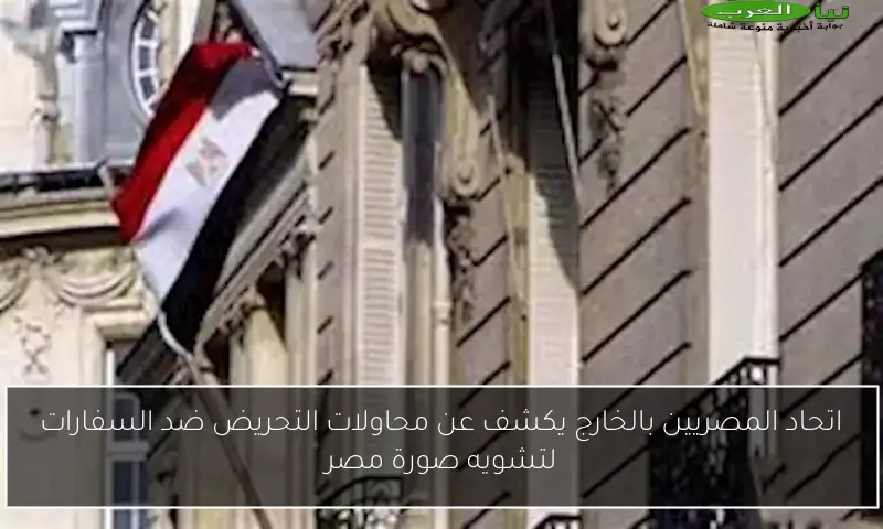 اتحاد المصريين بالخارج يكشف عن محاولات التحريض ضد السفارات لتشويه صورة مصر