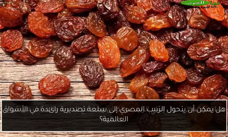 هل يمكن أن يتحول الزبيب المصري إلى سلعة تصديرية رائدة في الأسواق العالمية؟