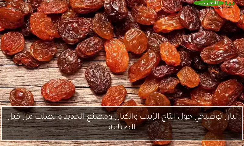 بيان توضيحي حول إنتاج الزبيب والكتان ومصنع الحديد والصلب من قبل الصناعة