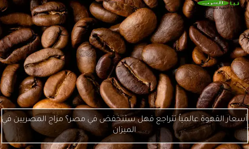 أسعار القهوة عالمياً تتراجع فهل ستنخفض في مصر؟ مزاج المصريين في الميزان