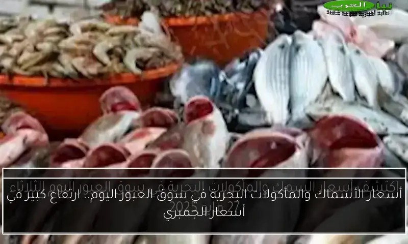 أسعار الأسماك والمأكولات البحرية في سوق العبور اليوم.. ارتفاع كبير في أسعار الجمبري