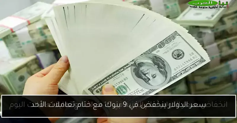 سعر الدولار ينخفض في 9 بنوك مع ختام تعاملات الأحد