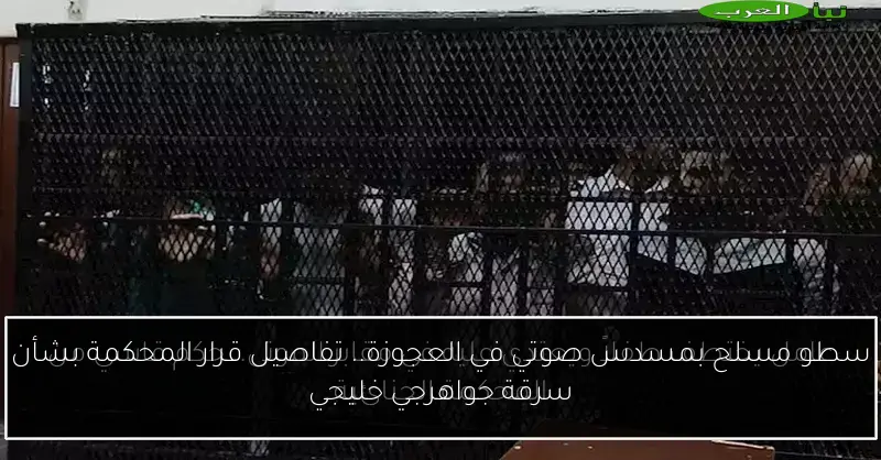 سطو مسلح بمسدس صوتي في العجوزة.. تفاصيل قرار المحكمة بشأن سرقة جواهرجي خليجي