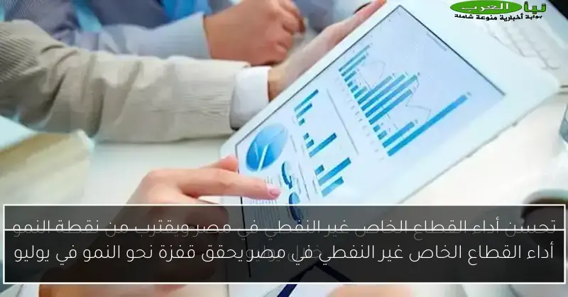 أداء القطاع الخاص غير النفطي في مصر يحقق قفزة نحو النمو في يوليو