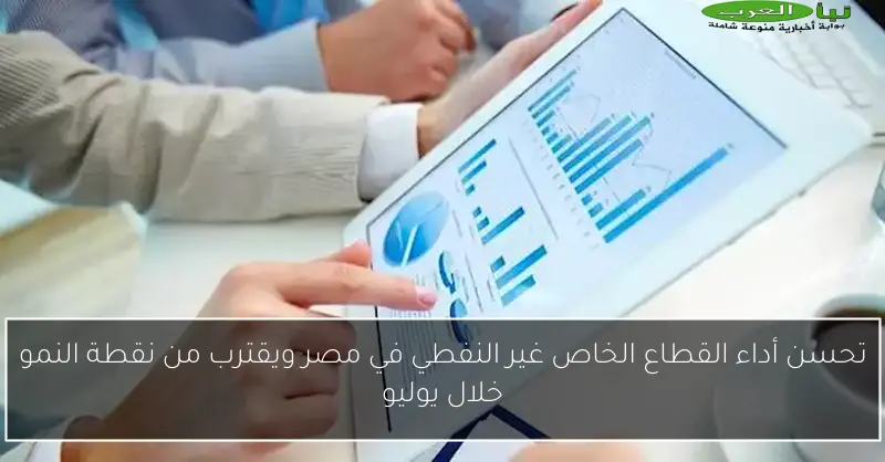 تحسن أداء القطاع الخاص غير النفطي في مصر ويقترب من نقطة النمو خلال يوليو