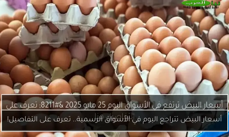 أسعار البيض تتراجع اليوم في الأسواق الرسمية.. تعرف على التفاصيل!