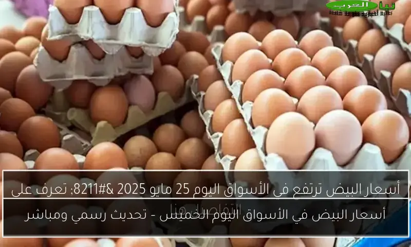 أسعار البيض في الأسواق اليوم الخميس – تحديث رسمي ومباشر