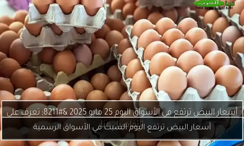 أسعار البيض ترتفع اليوم السبت في الأسواق الرسمية