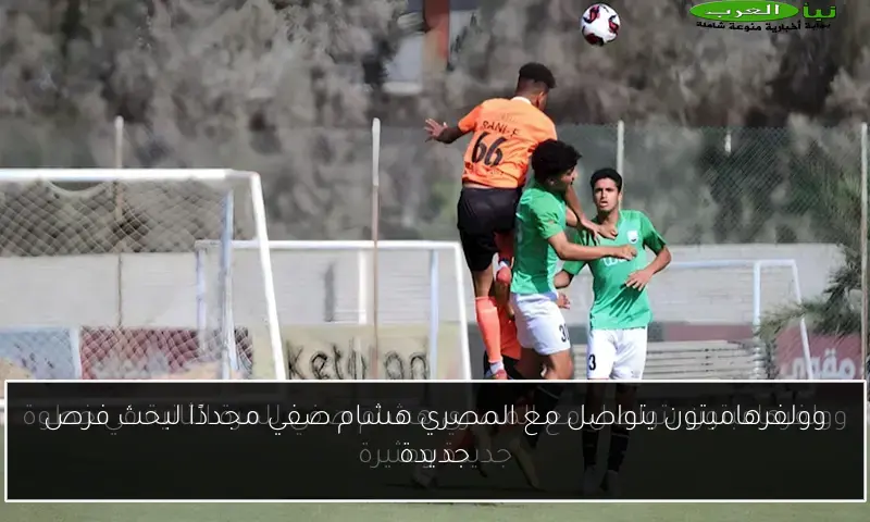 وولفرهامبتون يتواصل مع المصري هشام صفي مجددًا لبحث فرص جديدة