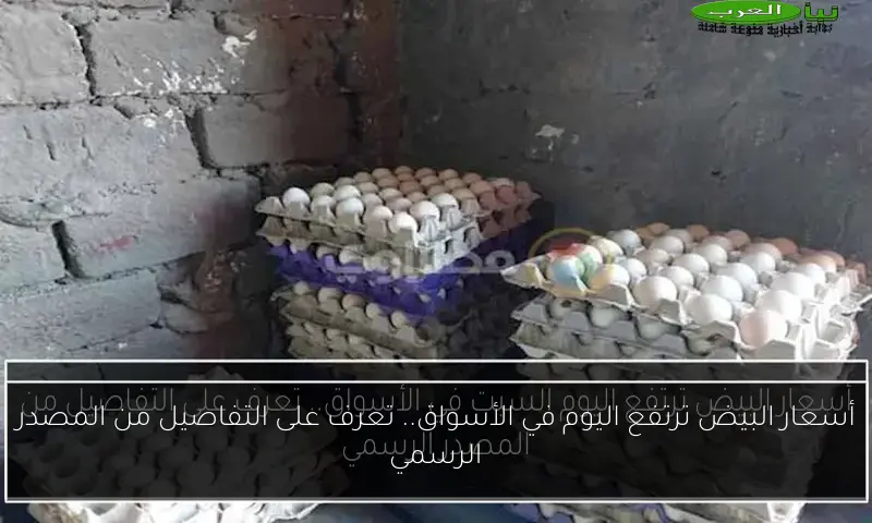 أسعار البيض ترتفع اليوم في الأسواق.. تعرف على التفاصيل من المصدر الرسمي