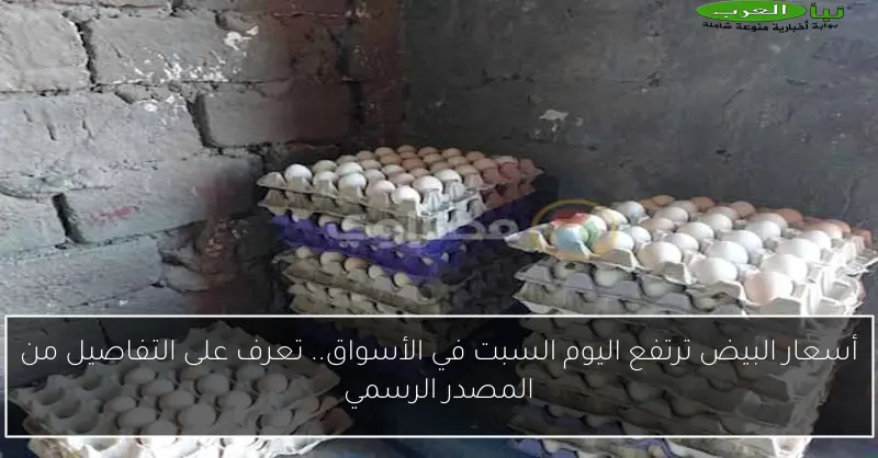 أسعار البيض ترتفع اليوم السبت في الأسواق.. تعرف على التفاصيل من المصدر الرسمي