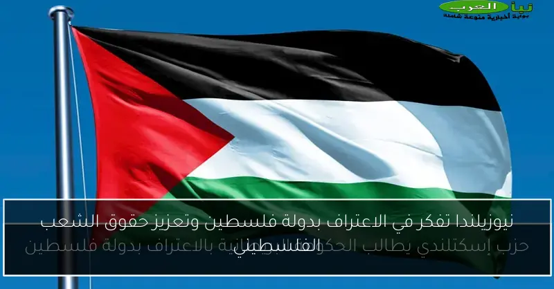 نيوزيلندا تفكر في الاعتراف بدولة فلسطين وتعزيز حقوق الشعب الفلسطيني