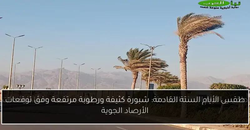 طقس الأيام الستة القادمة: شبورة كثيفة ورطوبة مرتفعة وفق توقعات الأرصاد الجوية