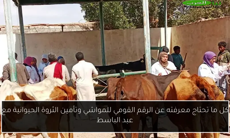 كل ما تحتاج معرفته عن الرقم القومي للمواشي وتأمين الثروة الحيوانية مع عبد الباسط