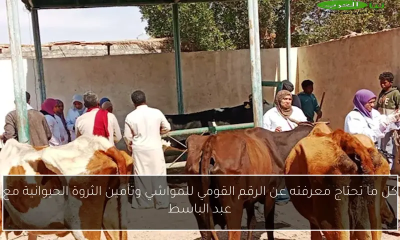 كل ما تحتاج معرفته عن الرقم القومي للمواشي وتأمين الثروة الحيوانية مع عبد الباسط