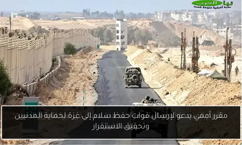 مقرر أممي يدعو لإرسال قوات حفظ سلام إلى غزة لحماية المدنيين وتحقيق الاستقرار
