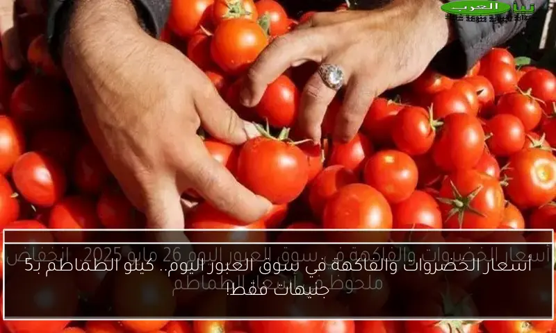 أسعار الخضروات والفاكهة في سوق العبور اليوم.. كيلو الطماطم بـ5 جنيهات فقط!