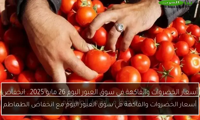 أسعار الخضروات والفاكهة في سوق العبور اليوم مع انخفاض الطماطم