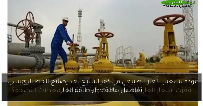 عودة تشغيل الغاز الطبيعي في كفر الشيخ بعد إصلاح الخط الرئيسي.. تفاصيل هامة حول طاقة الغاز