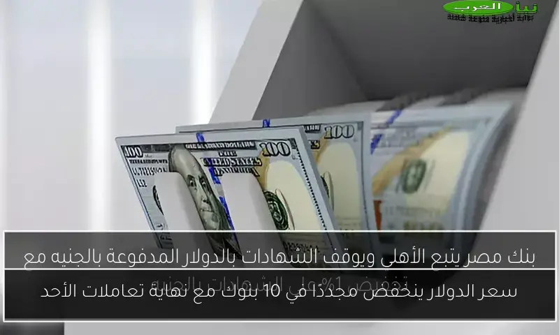 سعر الدولار ينخفض مجددًا في 10 بنوك مع نهاية تعاملات الأحد