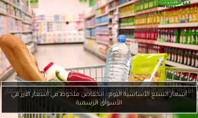 أسعار السلع الأساسية اليوم.. انخفاض ملحوظ في أسعار الأرز في الأسواق الرسمية