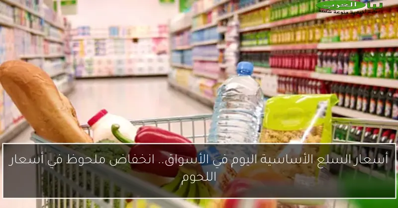 أسعار السلع الأساسية اليوم في الأسواق.. انخفاض ملحوظ في أسعار اللحوم